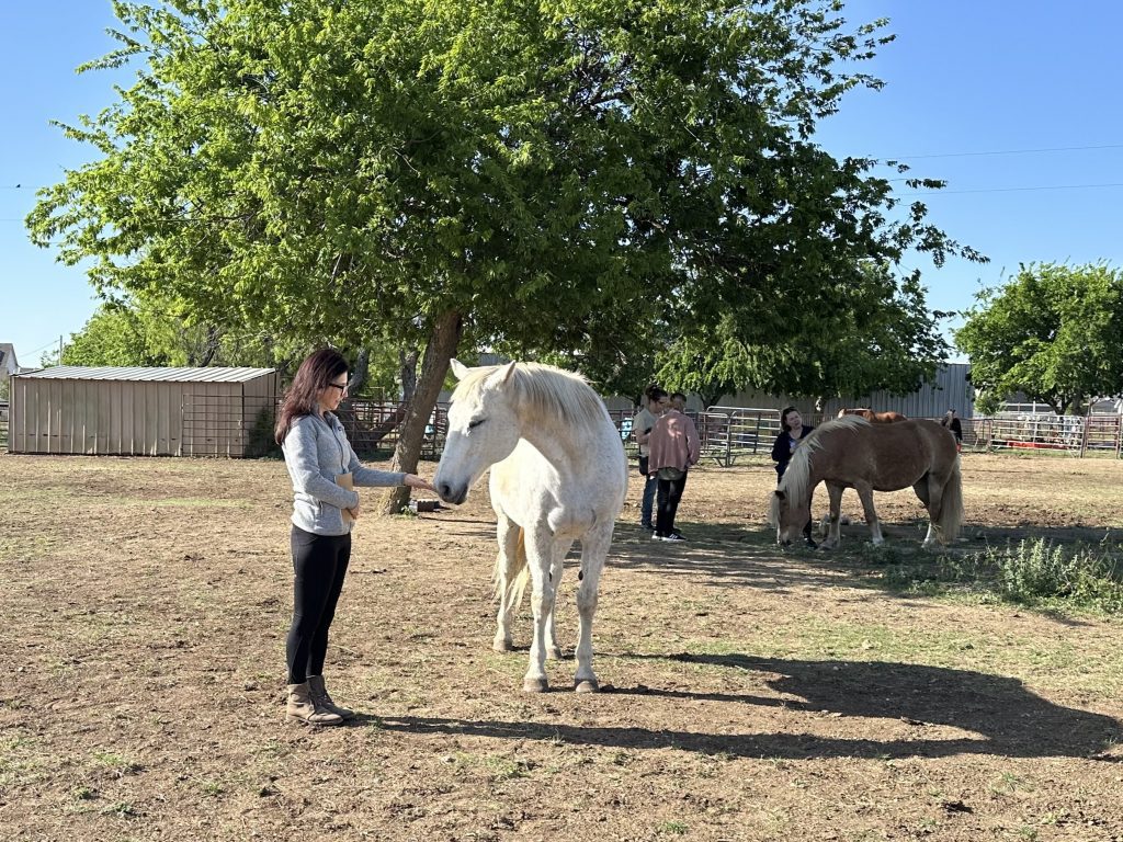 healing with horses after the flood